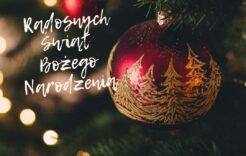 Więcej o: Radosnych Świąt Bożego Narodzenia