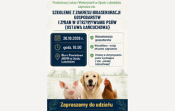 Więcej o: Szkolenie z zakresu bioasekuracji i aktualnej sytuacji epizootycznej